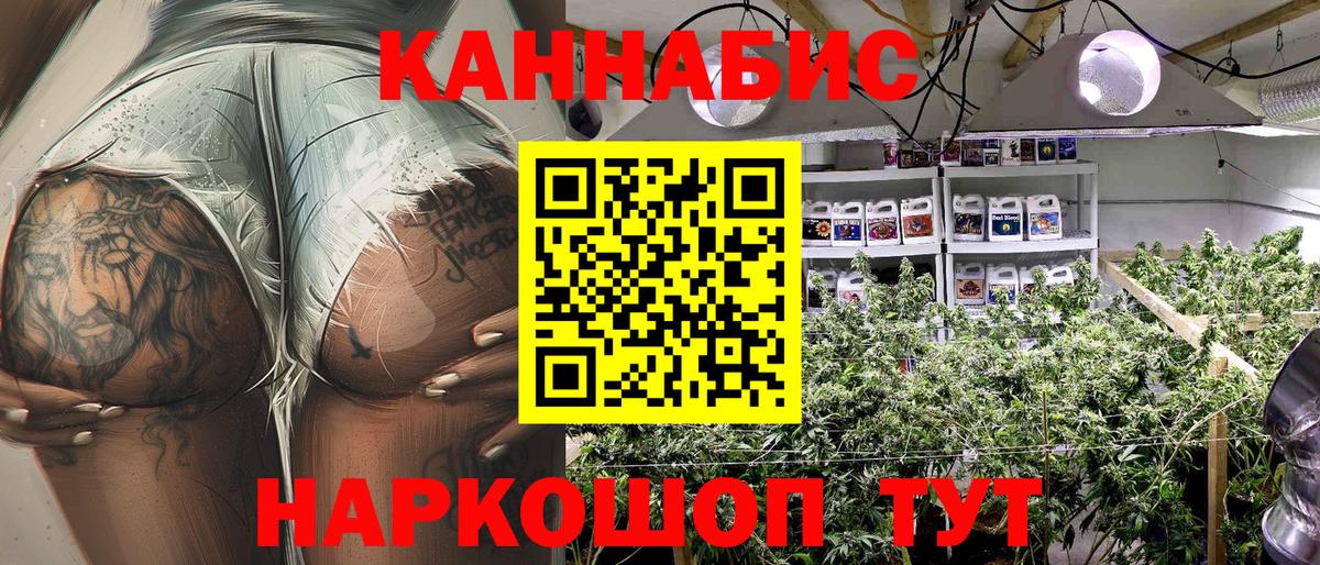 Бошки марихуана Bruce Banner  Вход с VPN  Бошки Шишки тримм  Марихуана план  Уссурийск 